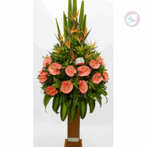 Base floral con anturios