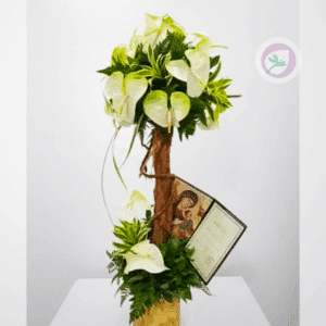 Condolencias - F099