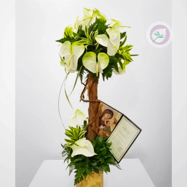 Condolencias - F099