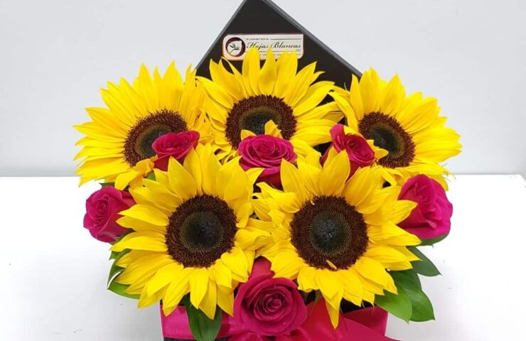 flores para regalar en San Valentín, cumpleaños u otra ocasión especial.
