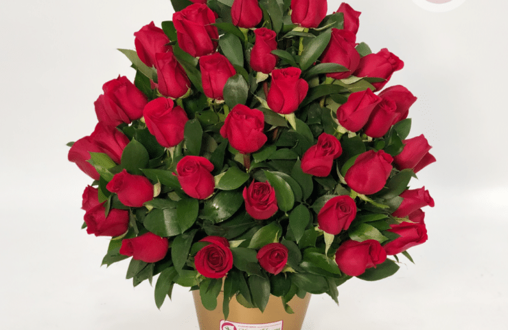 ramo de rosas rojas. Flores para San Valentin