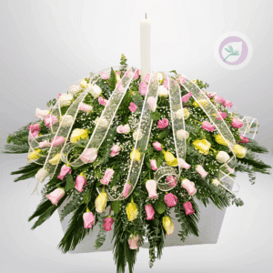 CUBRECAJA - F123