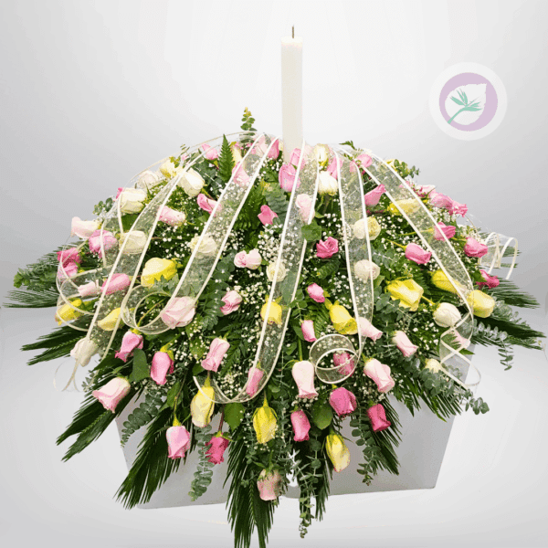 CUBRECAJA - F123