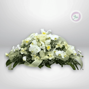 Cubrecaja en Orquídeas - F031