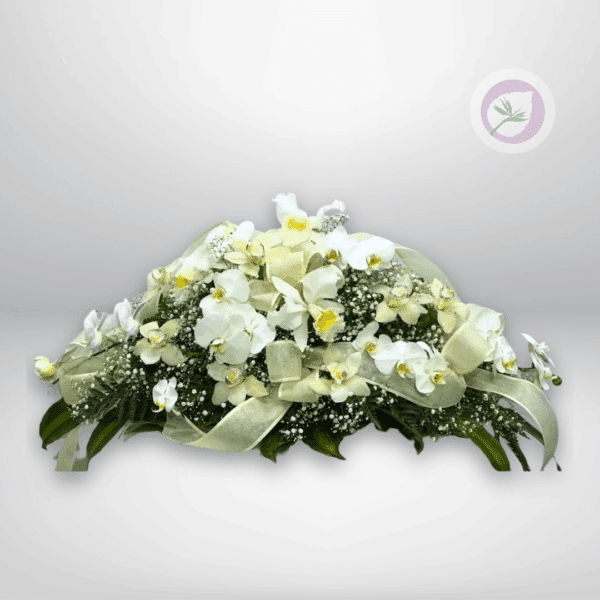 Cubrecaja en Orquídeas - F031