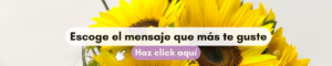 Floristería en Medellin y Rionegro - ramo de rosas - Arreglos Florales