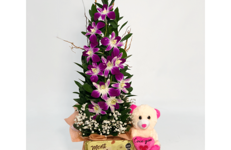 Arreglo de orquideas, peluche y chocolate