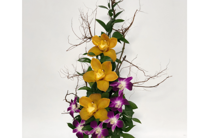 Arreglo de orquídeas para cumpleaños - Floristeria en Medellín y Rionegro