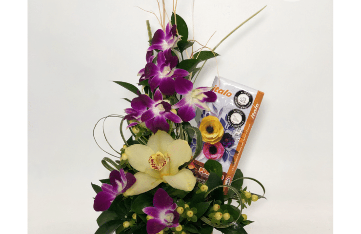 Arreglo de orquideas
