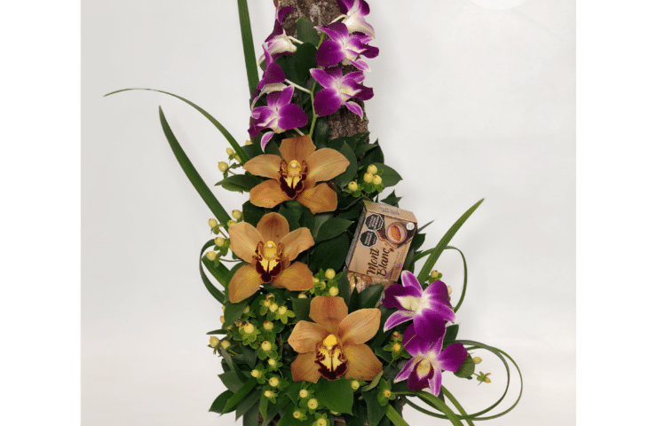 Flores de admiracion