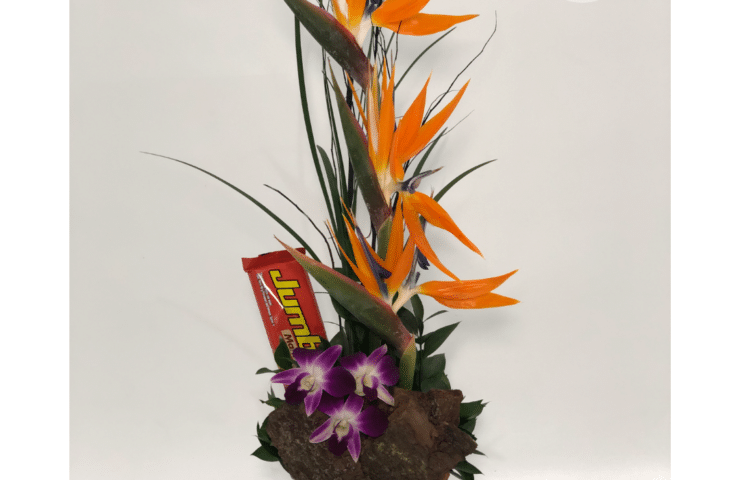 Regala un hermoso regalo, un arreglo de Aves y Orquideas para el día del padre! envio GRATIS en Medellín, el área metropolitana y el oriente Antioqueño!