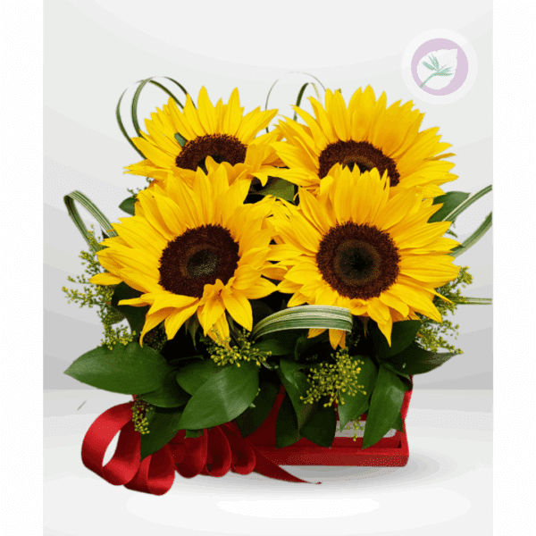 Amor y Amistad - A034