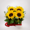 Precioso arreglo de Girasol, una manera de alegrar el día de alguien con envio GRATIS en Medellín, área metropolitana y el Oriente Antioqueño.