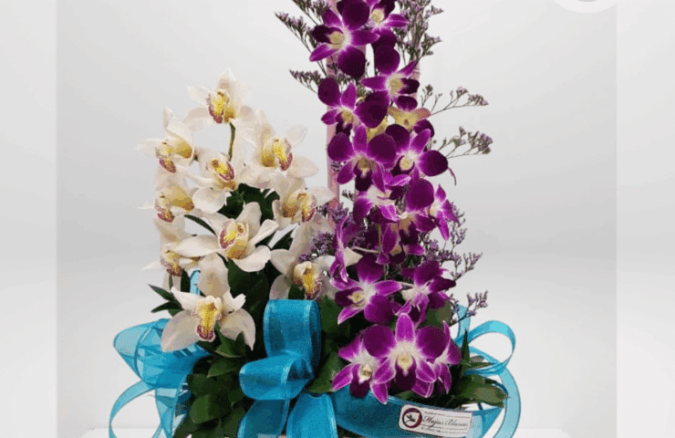 Regala un hermoso Arreglo floral de orquídeas naturales.Los arreglos florales de orquídeas destacan por su belleza exótica y elegancia natural.