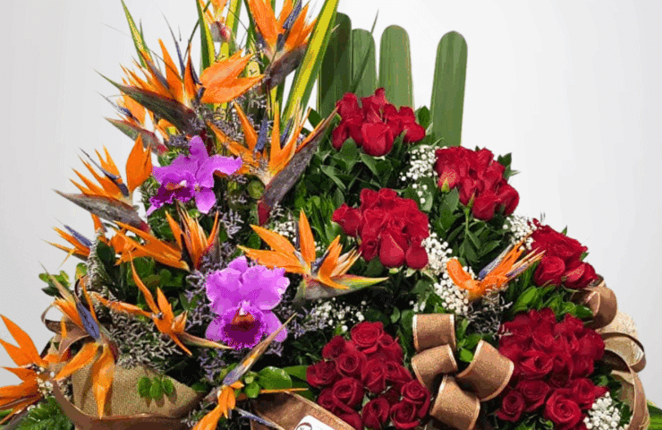 Regala un hermoso arreglo de rosas rojas, aves del paraiso y orquideas. Tenemos los arreglos hermosos para tu persona especial