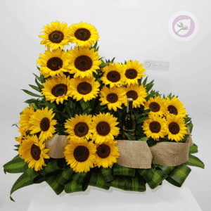 SUNFLOWERS - C102