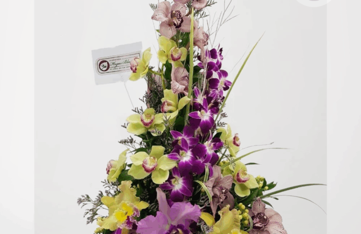 Regala un hermoso arreglo de orquideas variadas. Tenemos los arreglos hermosos para tu persona especial. En Floristería Hojas Blancas tenemos cobertura en Medellin, Rionegro, La Ceja, Marinilla, Bello, El Poblado, Laureles, Itagüi, entre otros municipios del área metropolitana y oriente antioqueño. Demuestra tu cariño en amor y amistad o en San Valentín.