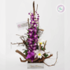 Regala un hermoso arreglo de orquideas moradas. Tenemos los arreglos hermosos para tu persona especial. En Floristería Hojas Blancas tenemos cobertura en Medellin, Rionegro, La Ceja, Marinilla, Bello, El Poblado, Laureles, Itagüi, entre otros municipios del área metropolitana y oriente antioqueño. Demuestra tu cariño en amor y amistad o en San Valentín. Visita las tiendas físicas: Floristería en Medellín y Floristería en Rionegro