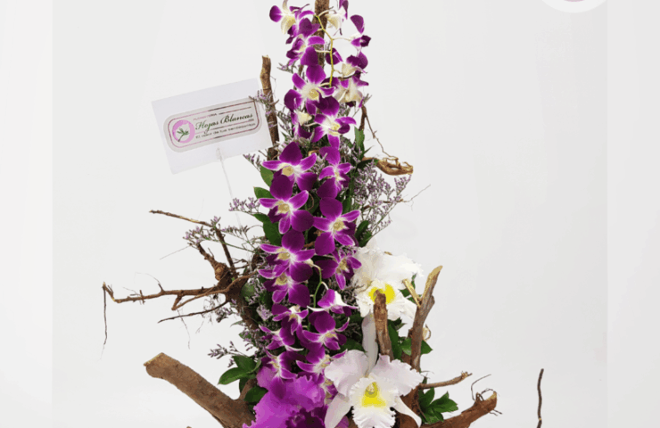 Regala un hermoso arreglo de orquideas moradas. Tenemos los arreglos hermosos para tu persona especial. En Floristería Hojas Blancas tenemos cobertura en Medellin, Rionegro, La Ceja, Marinilla, Bello, El Poblado, Laureles, Itagüi, entre otros municipios del área metropolitana y oriente antioqueño. Demuestra tu cariño en amor y amistad o en San Valentín. Visita las tiendas físicas: Floristería en Medellín y Floristería en Rionegro