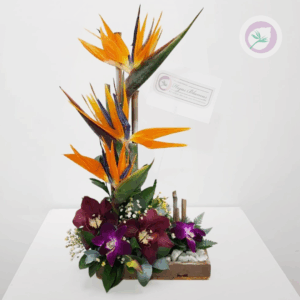 Regala un hermoso arreglo de aves del paraiso y orquideas. Tenemos los arreglos hermosos para tu persona especial