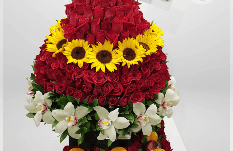 Regala un hermoso arreglo de rosas rojas y frutas, para sorprender a esa persona especial con envio GRATIS en Medellín y Oriente Antioqueño.