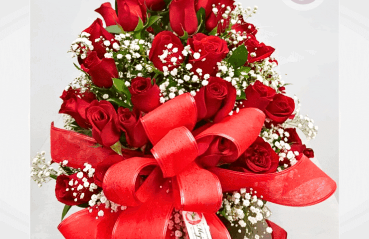  rosas rojas y moño