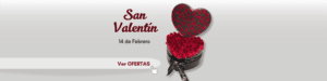 ramo de rosas floristeria en Medellin - Floristeria en Rionegro