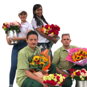 Equipo Floristería Hojas Blancas