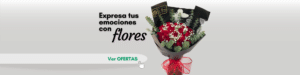 Ramo de rosas floristeria en Medellin - Floristeria en Rionegro