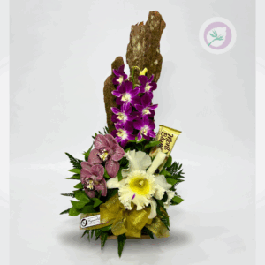 Regala un hermoso arreglo de orquideas con chocolate. Tenemos los arreglos hermosos para tu persona especial.