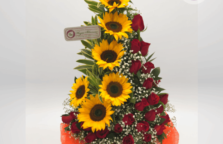 Floristeria en Antioquia - Ramo de rosas y girasoles, Rionegro y Medellín.