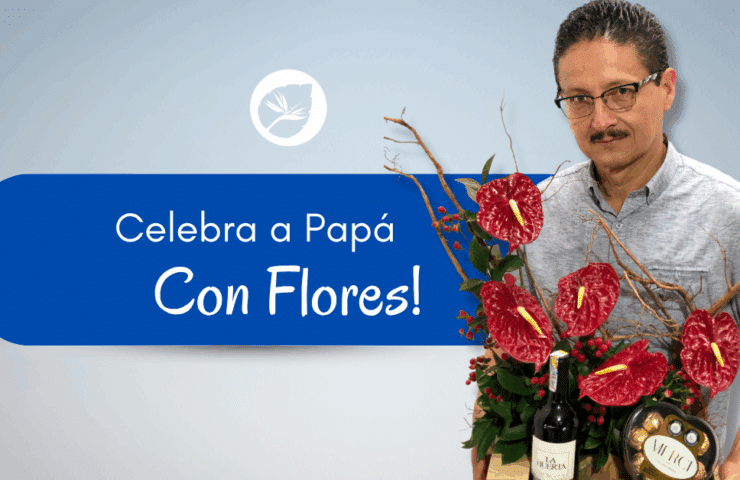 Celebra a Papá con flores este 15 de Junio! Papá se merece lo mejor!