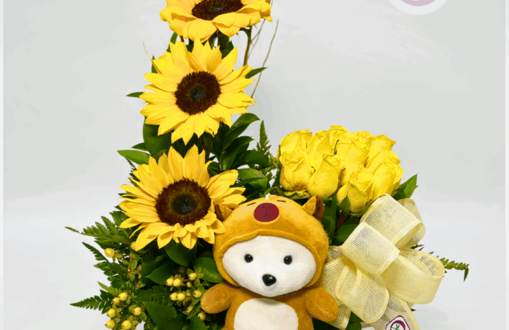 Flores y peluche con Domicilio GRATIS - regalo de flores y peluche - Floristería en Medellin - Rionegro - Antioquia - bouquet's de flores - ¡COMPRA AHORA!