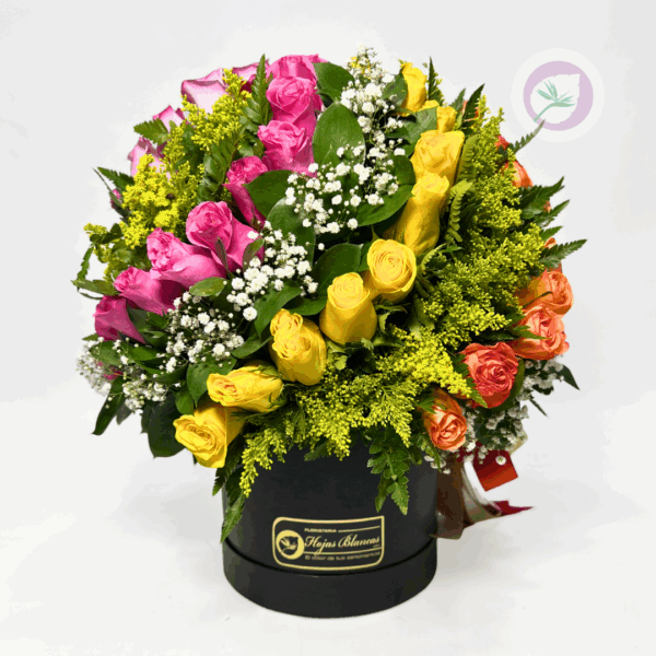 hermosa caja de rosas variadas para regalar