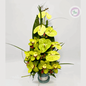 Elegante ramo de orquideas y anturios de cumpleaños con envio GRATIS en medellín, área metropolitana y el oriente Antioqueño. ¡Compra ahora!