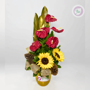 L0s Girasoles y Anturios navideños  de Floristería Hojas Blancas combina la alegría del sol con la elegancia de los Anturios. Cada arreglo está elaborado con flores frescas, acompañados de rusco, helecho y detalles decorativos como piñas de pino, moños y adornos navideños,