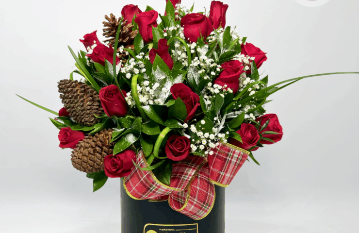 Las Rosas navideñas  de Floristería Hojas Blancas combina la delicadeza  y el lujo de las rosas y la calidez de la navidad. Cada arreglo está elaborado con flores frescas, acompañados de rusco, liriope  y detalles decorativos como piñas de pino, moños y adornos navideños, cuidadosamente dispuestos en una caja flojar de lujo que evoca elegancias y exclusividad