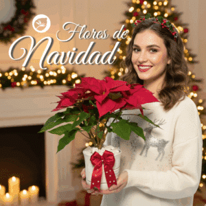 Flor de Navidad roja en matera Hojas Blancas