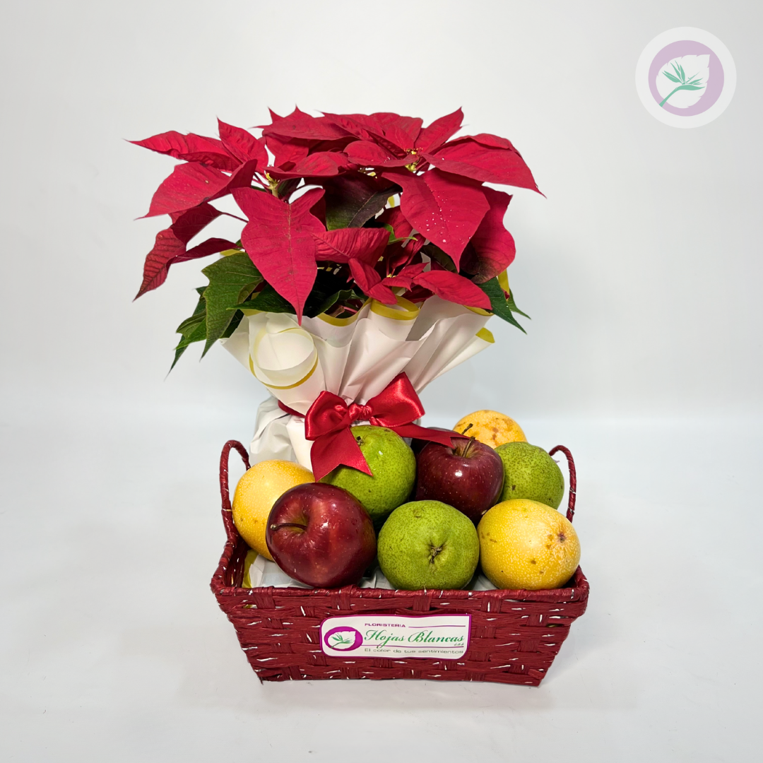Canasta navideña con Nochebuena y frutas naturales
