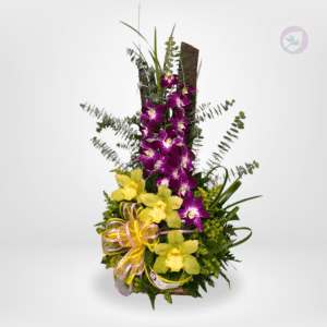 Sorprende con nuestro exclusivo arreglo Orquídeas Imperiales, una composición sofisticada que combina la elegancia de las orquídeas moradas con la frescura de orquídeas amarillas y follajes verdes de alta calidad. Diseñado en una base natural con estilo moderno, este arreglo floral es perfecto para ocasiones especiales como cumpleaños, aniversarios, agradecimientos o decoración de espacios elegantes. Su diseño vertical estilizado lo convierte en un regalo impactante, ideal para transmitir amor, admiración y buen gusto.