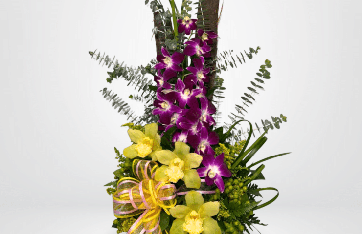 Sorprende con nuestro exclusivo arreglo Orquídeas Imperiales, una composición sofisticada que combina la elegancia de las orquídeas moradas con la frescura de orquídeas amarillas y follajes verdes de alta calidad. Diseñado en una base natural con estilo moderno, este arreglo floral es perfecto para ocasiones especiales como cumpleaños, aniversarios, agradecimientos o decoración de espacios elegantes. Su diseño vertical estilizado lo convierte en un regalo impactante, ideal para transmitir amor, admiración y buen gusto.