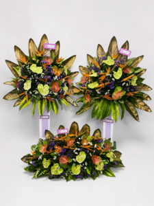 Una elegante composición floral tropical elaborada con anturios, aves del paraíso, rusco, hojas de ave del paraíso y estatis, ideal para decorar eventos corporativos, inauguraciones, ceremonias y celebraciones especiales.